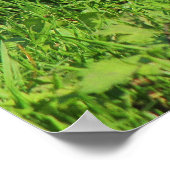 カーディフ・ビュート・パーク・グレー・リス ポスター (角)