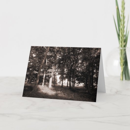 カーディフIIウッズビュートパーク カード (正面)