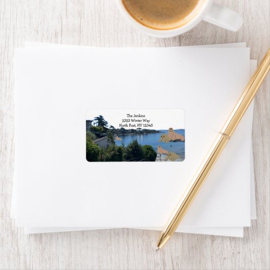 カートゥーンシーライオンアンドセイウラス住所 シール (インサイチュ)