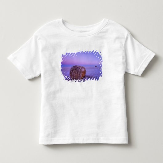 カートライトノース近くの冬のわら束 トドラーTシャツ (正面)