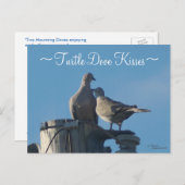 カートルハト葉書 ポストカード (正面/裏面)