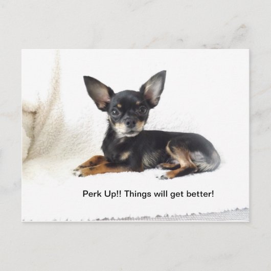 カードがアップする ポストカード (正面)