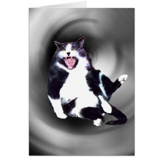 カードで滑っている猫