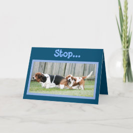 カードとおもしろいBasset Houndsが原因でチューリップ カード