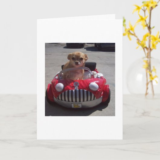 カードによって巡航 カード (黄色い花)