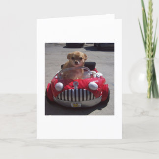 カードによって巡航 カード