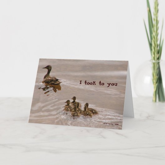 カードに水をまくアヒル カード (正面)