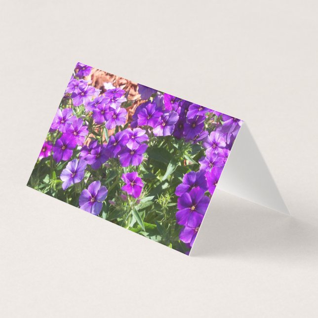 カードに紫色のフロックスの空白の花 (正面)