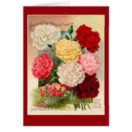 カードのカーネーションのヴィンテージの種の包みの芸術