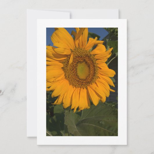 カードのパーソナライズカスタム招待状 招待状 (正面)