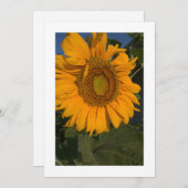 カードのパーソナライズカスタム招待状 招待状 (正面/裏面)