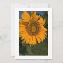 カードのパーソナライズカスタム招待状