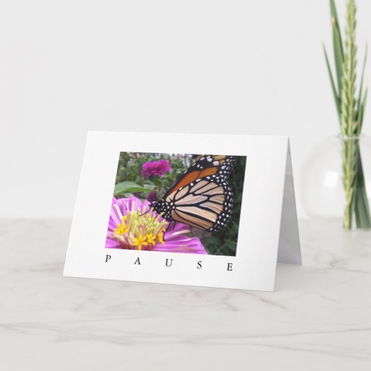 カードの一時停止：ピンク色の（昆虫）オオカバマダラ、モナーク《植物》百日草 カード (正面)
