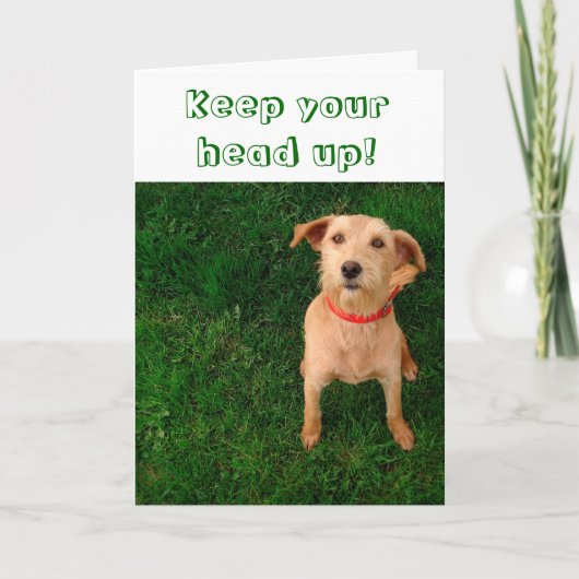 カードの上のあなたの頭部を保って下さい カード (正面)