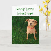 カードの上のあなたの頭部を保って下さい カード (黄色い花)