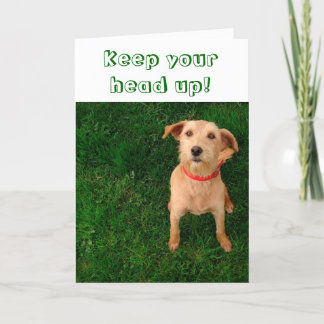 カードの上のあなたの頭部を保って下さい カード