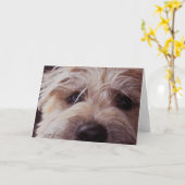 カードの上の子犬の顔の終わり カード (黄色い花)