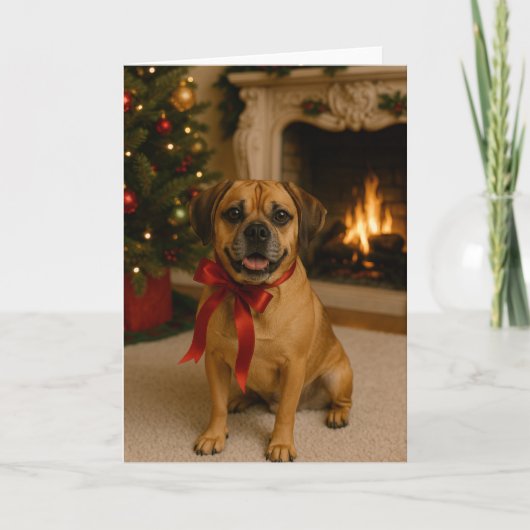 カードの切り替え カード (正面)