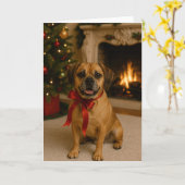 カードの切り替え カード (黄色い花)