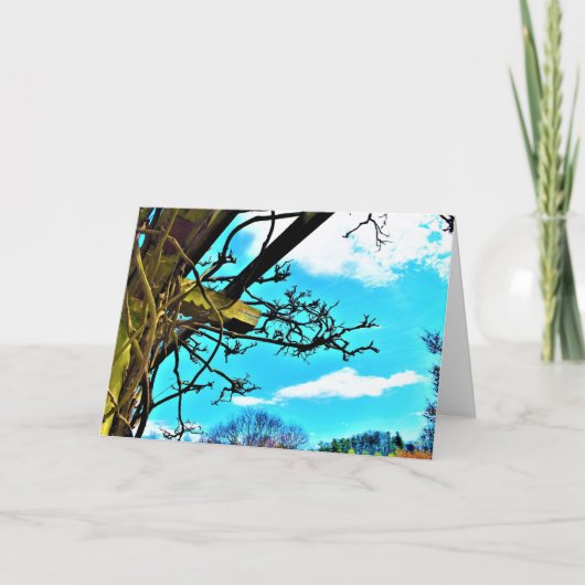 カードの藤 カード (正面)