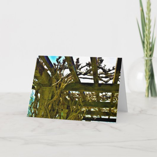 カードの藤 カード (正面)