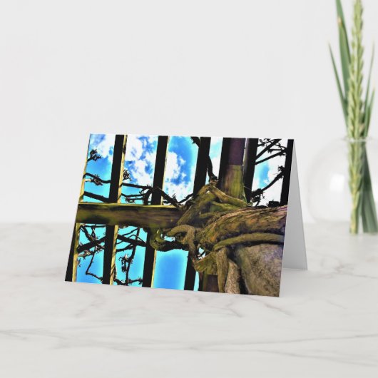 カードの藤 カード (正面)