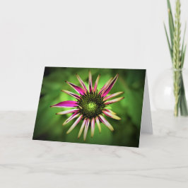 カードのConeflower カード