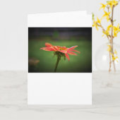 カードのConeflower カード (黄色い花)