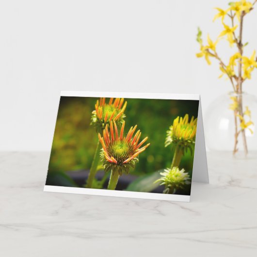 カードのConeflower カード (黄色い花)