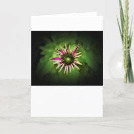 カードのConeflower カード