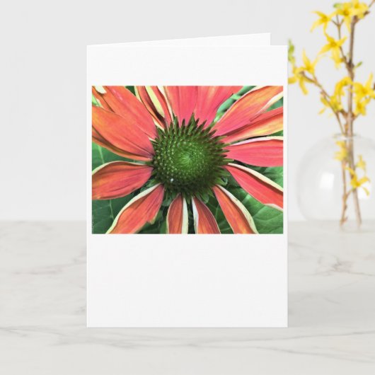 カードのConeflower カード (黄色い花)