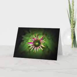 カードのConeflower カード