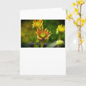 カードのConeflower カード (黄色い花)