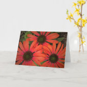 カードのConeflower カード (黄色い花)