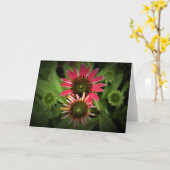 カードのConeflower カード (黄色い花)