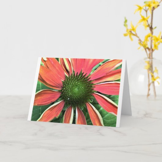 カードのConeflower カード (黄色い花)