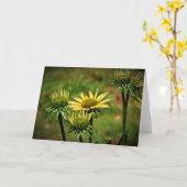 カードのConeflower カード (黄色い花)