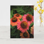 カードのConeflower カード (黄色い花)