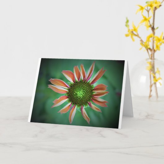 カードのConeflower カード (黄色い花)