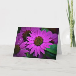 カードのConeflower カード