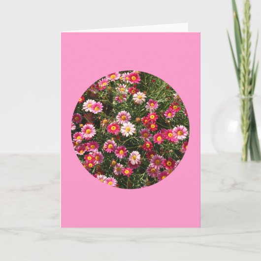 カードは、"円" F-1のデイジーを絵を描きました カード (正面)