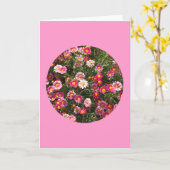 カードは、"円" F-1のデイジーを絵を描きました カード (黄色い花)