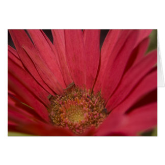 カードをあなたの感覚に来られる