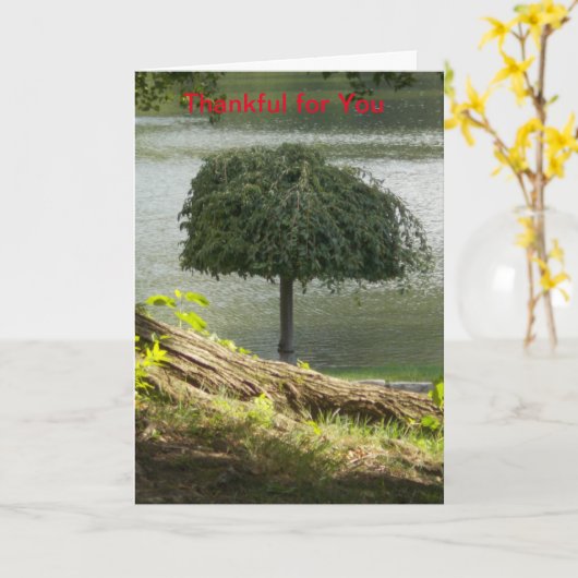 カードをありがとう カード (黄色い花)