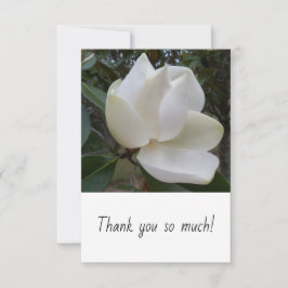 カードをありがとう サンキューカード