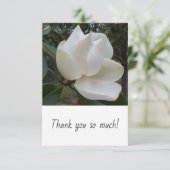 カードをありがとう サンキューカード (スタンド正面)