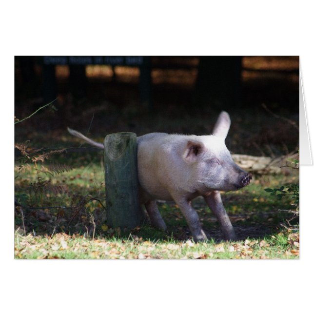 カードを傷付けるポーク (正面横)