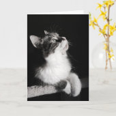 カードを夢を見ることをやめないで下さい カード (黄色い花)