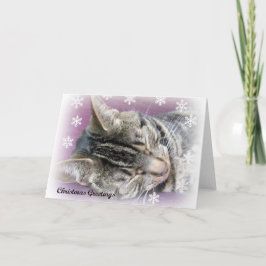 カードを夢を見るクリスマス シーズンカード