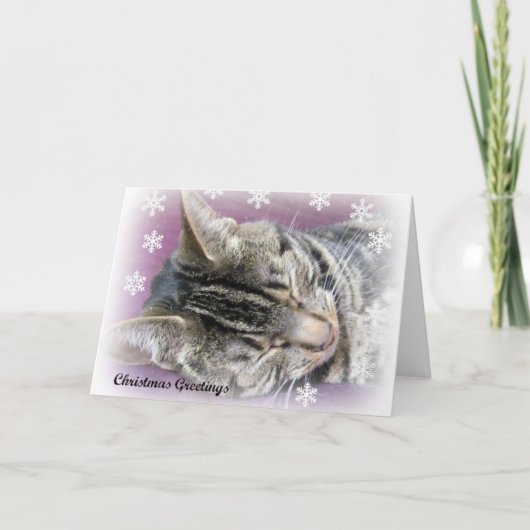 カードを夢を見るクリスマス シーズンカード (正面)